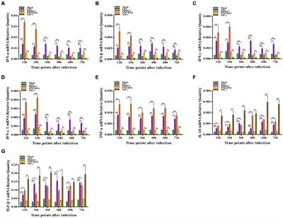 Non-infectious immune complexes downregulate the production of interferons and tumor necrosis factor-α in primary porcine alveolar macrophages in vitro